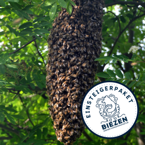 Einsteiger-Paket für 5 Bio-Bienenschwärme mit Reinzuchtkönigin