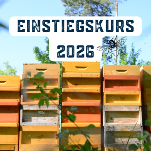 Imkerei Einstiegskurs 2026