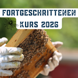 Imkereikurs für Fortgeschrittene 2026